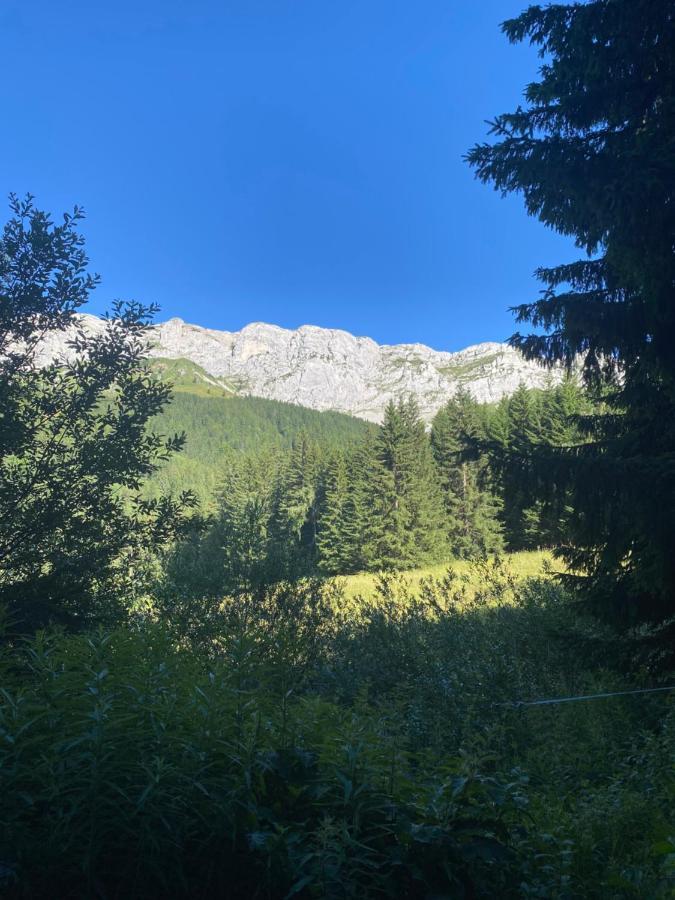 Cretes Du Vercors Vue Magnifique Villard-de-Lans Exteriör bild